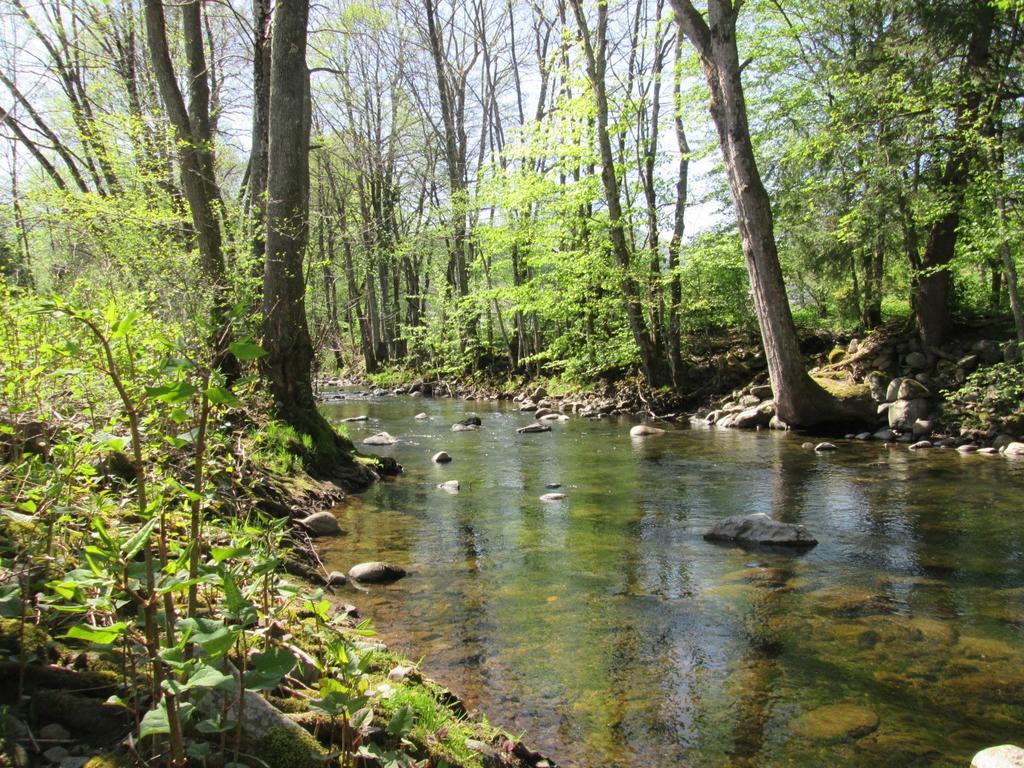 Camping De Masevaux Hotel Bagian luar foto